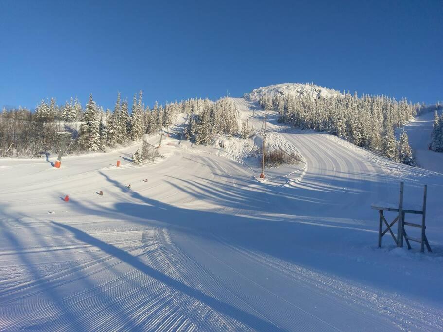 Ski Inn/Out - 4-Room Apartment W/3 Bedroom Gaustablikk ภายนอก รูปภาพ
